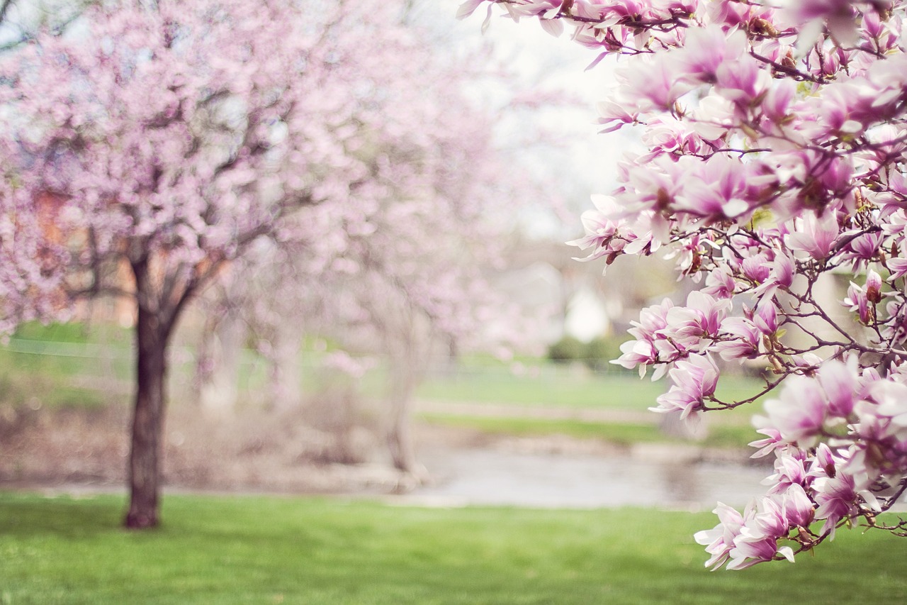 Booktag | Primavera Literária