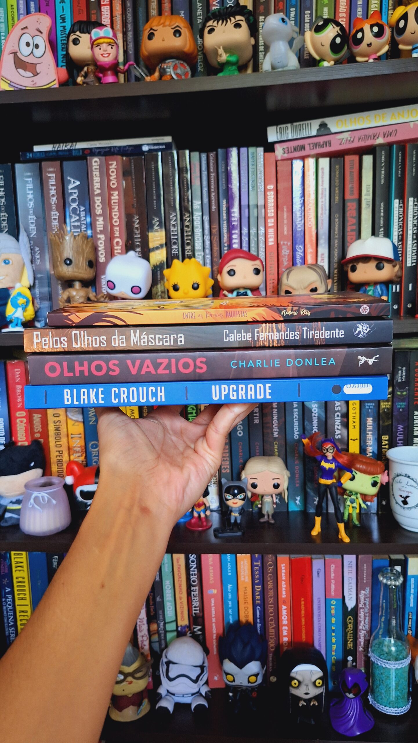 TBR de Novembro