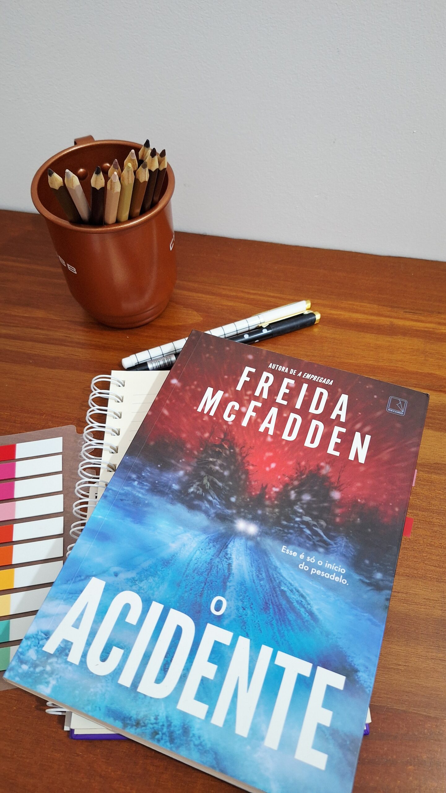 O Acidente | Freida McFadden